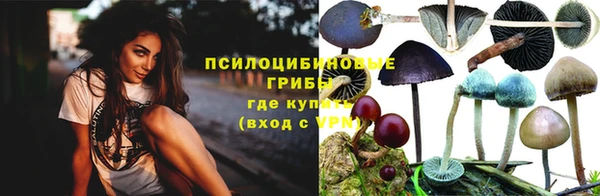 ПСИЛОЦИБИНОВЫЕ ГРИБЫ Заводоуковск