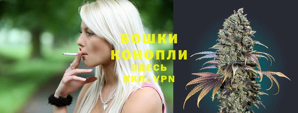 ПСИЛОЦИБИНОВЫЕ ГРИБЫ Заводоуковск