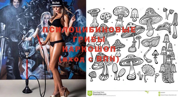 бутират Иннополис